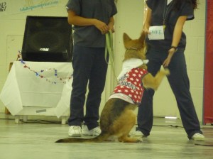 Paws in Prison, Lockhart Correctional Facility
